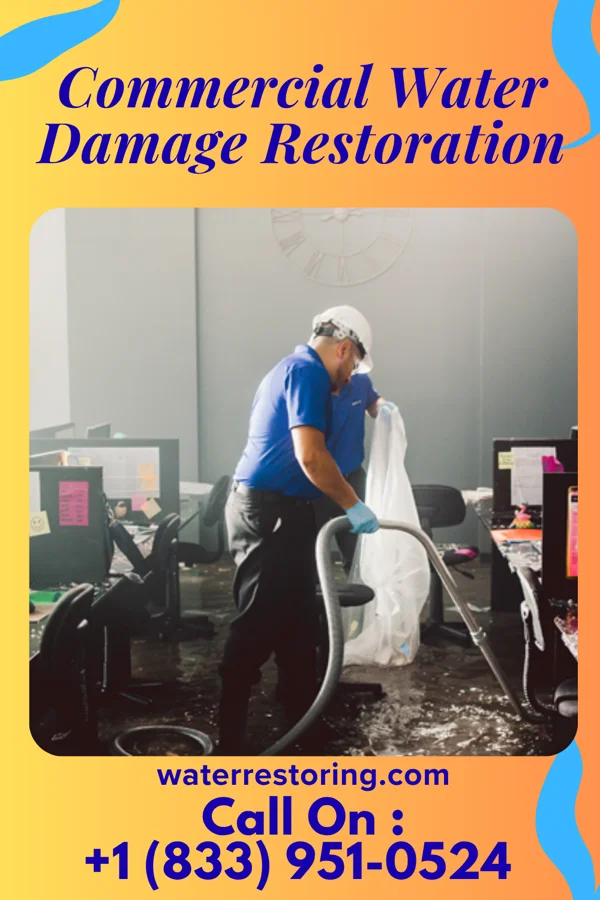 Commercial Water Damage Restoration in Martin Lake, MN
