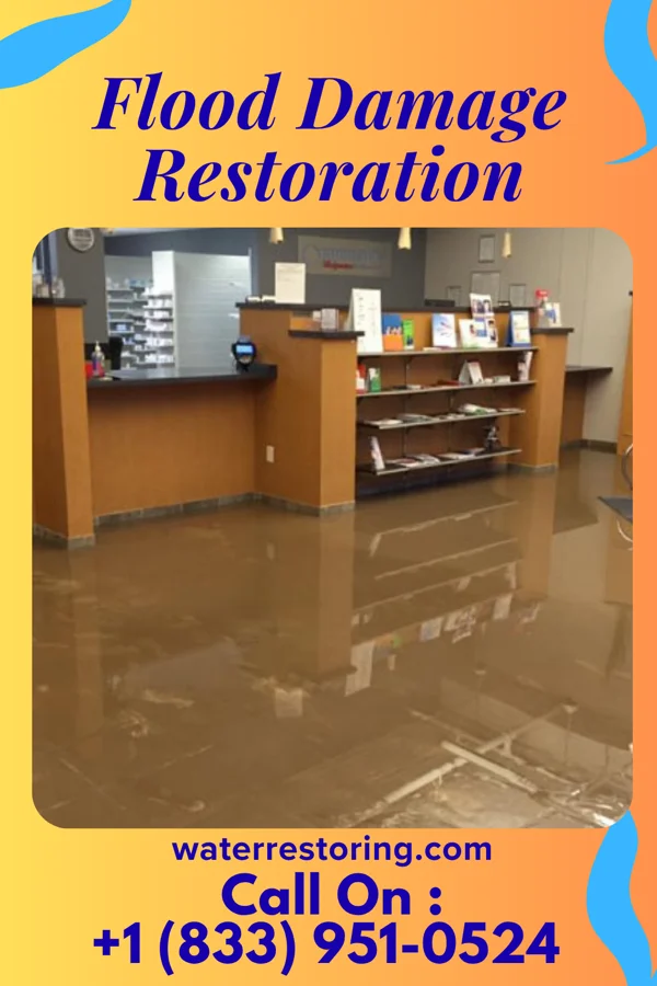 Flood Damage Restoration in Martin Lake, MN